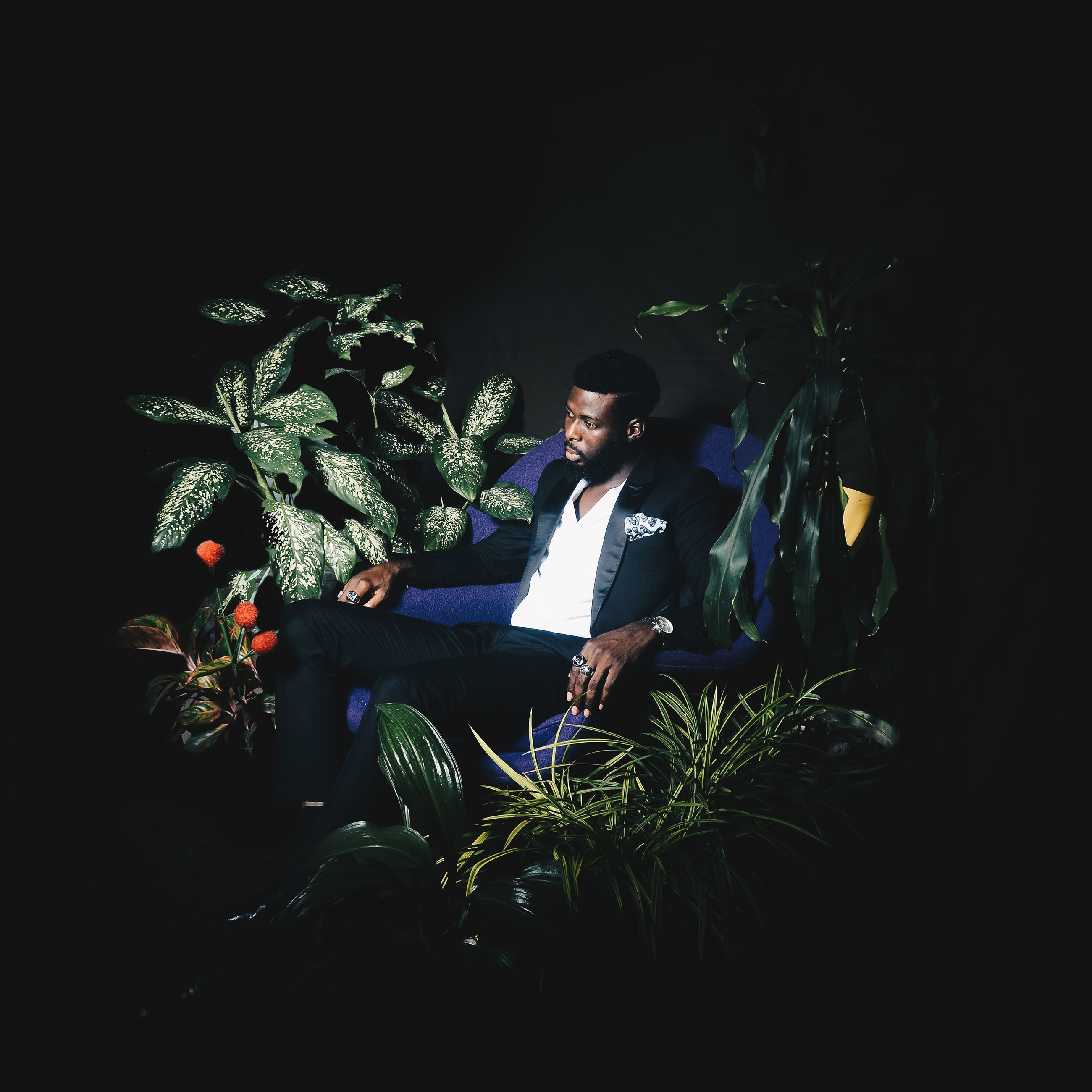 plant, one person, real people, young adult, growth, young men, nature, leaf, lifestyles, front view, full length, sitting, indoors, men, plant part, potted plant, three quarter length, leisure activity, well-dressed, black background, menswear, contemplation