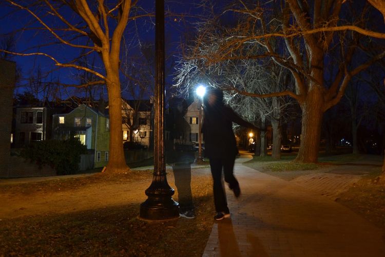 Man standing by illuminated tree at night