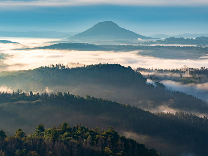 Beautiful sunny morning panorama of forest covered by misty clouds. autumn fog on the mountain hills