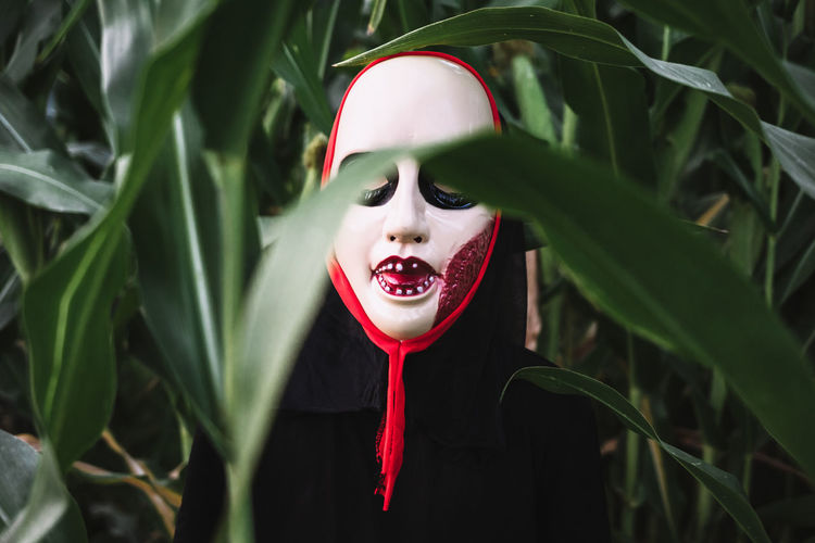Unrecognizable person wearing masquerade mask and costume standing in cornfield and looking at camera