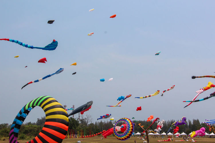 Low angle view of kites flying in sky