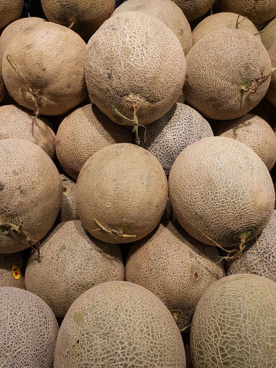 Sweet melon for sale