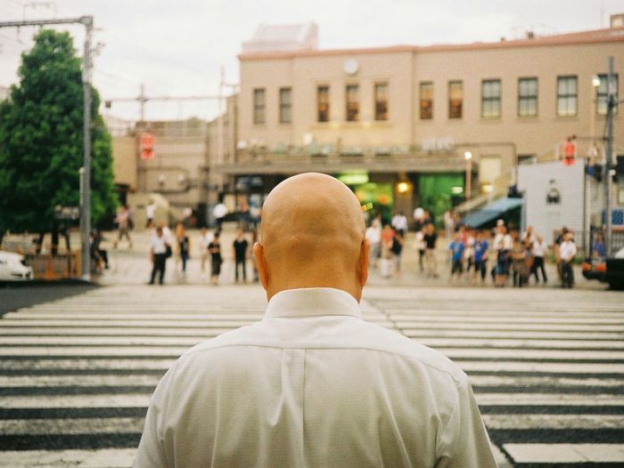 Rear view of bald man standing on zebra crossing in city