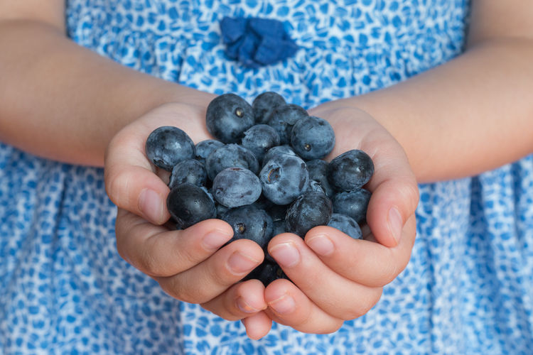 Close-up of hand holding blueberries
