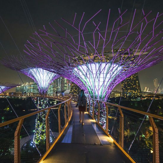 Rear view of woman walking on elevated walkway at gardens by the bay