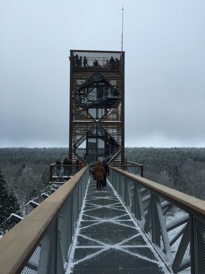 People on canopy walkway