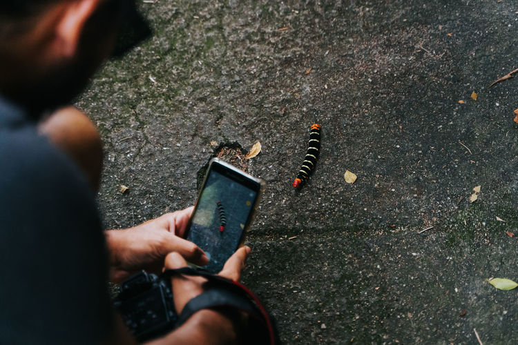 Man photographing a caterpillar with cellphone