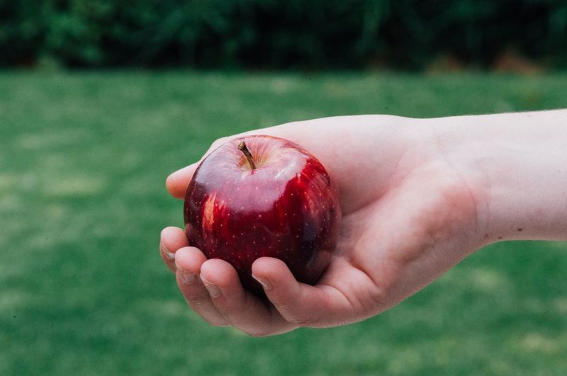Cropped hand holding apple on field