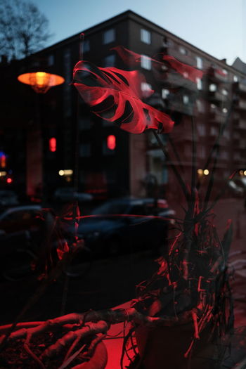 Close-up of illuminated red building at night