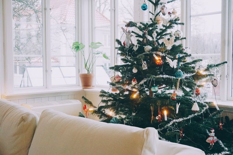 Christmas tree on sofa at home