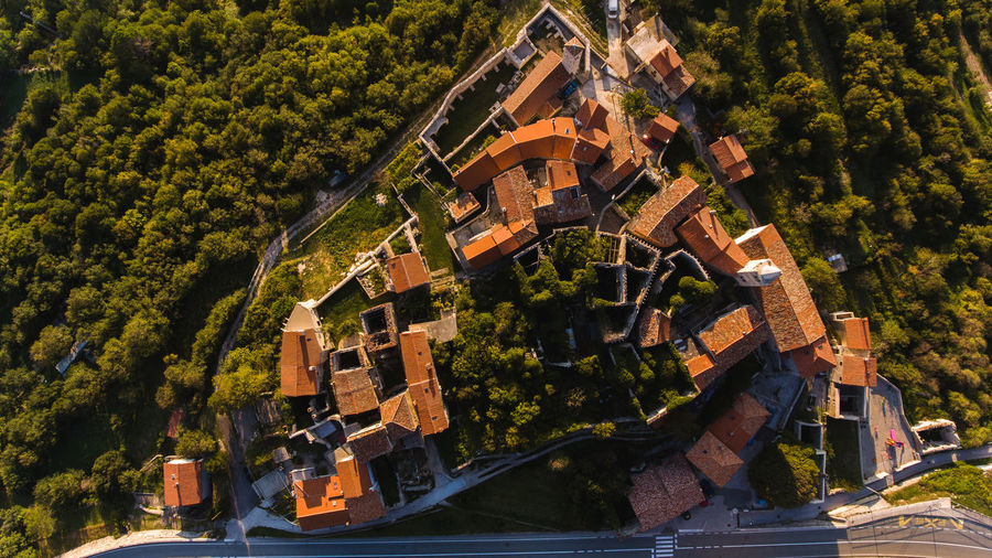 High angle view of buildings amidst trees in town