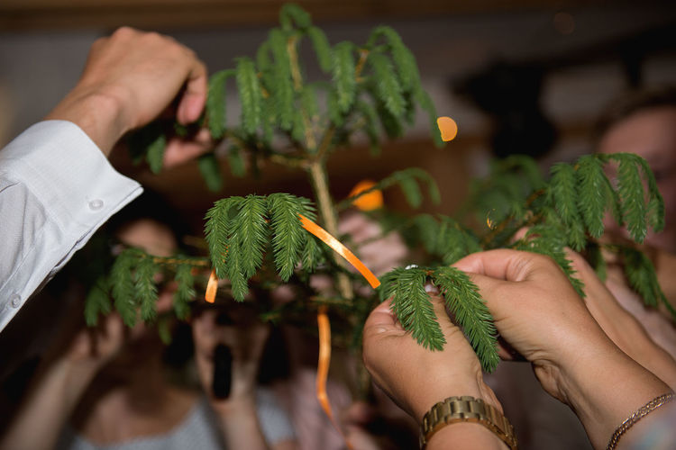 Cropped hands of people tying ribbons on tree