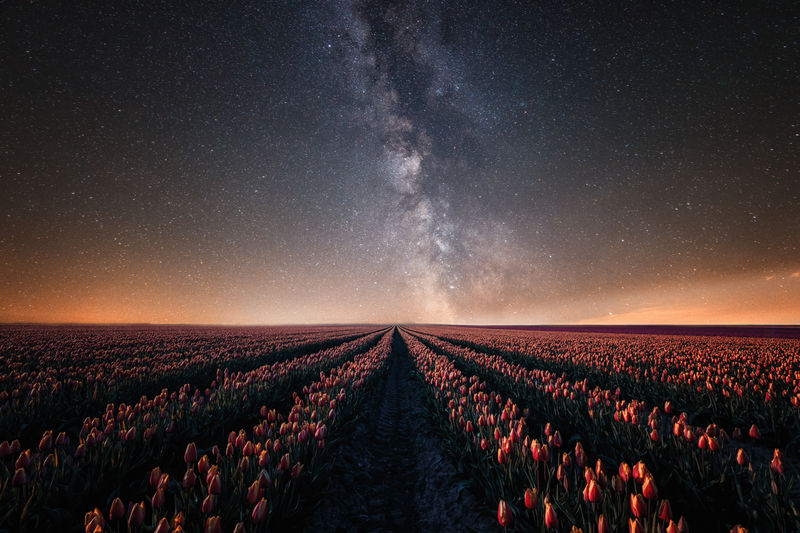 Panoramic view of field against sky at night