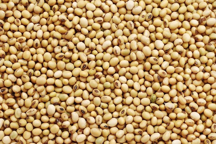 Full frame shot of soybeans for sale at market