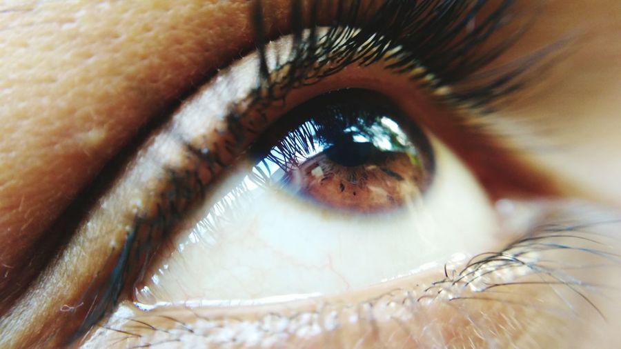 Extreme close-up of eye