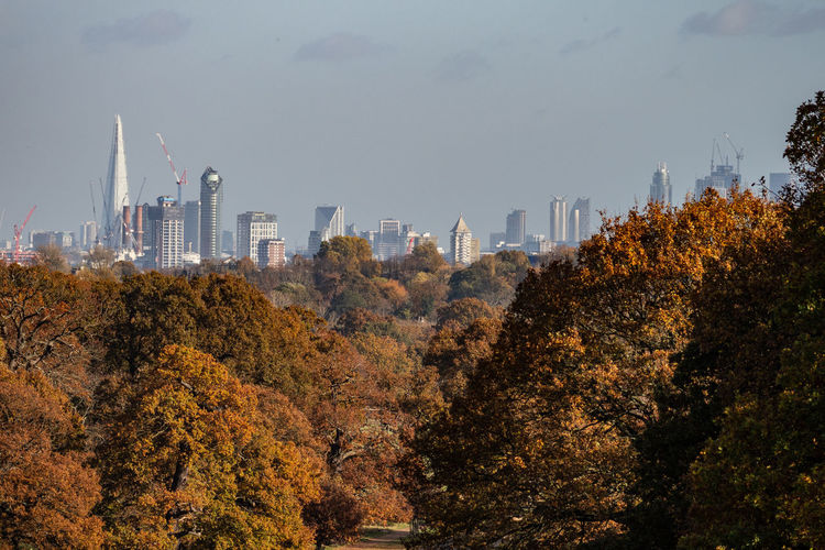 Trees and buildings against sky during autumn