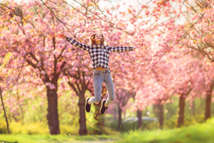 Low angle view of person standing on pink flowering tree in park