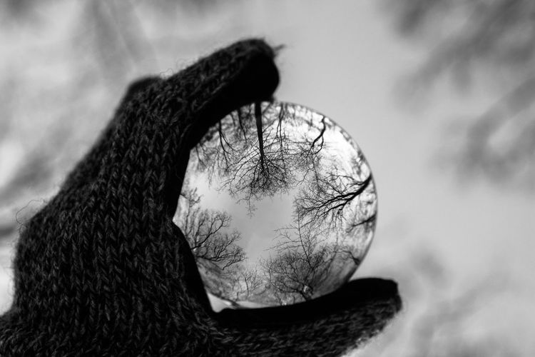 Close-up of hand holding glass ball in forest