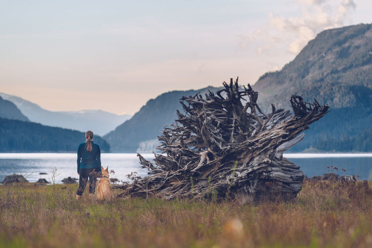 Rear view of woman with dog standing on field by lake against sky at forest