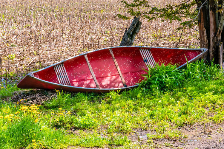 Red boat on land in forest