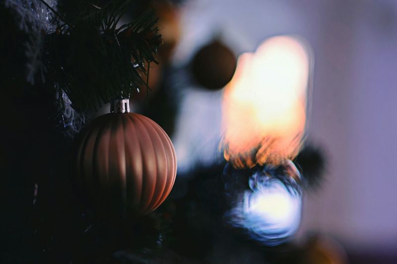 Close-up of christmas tree