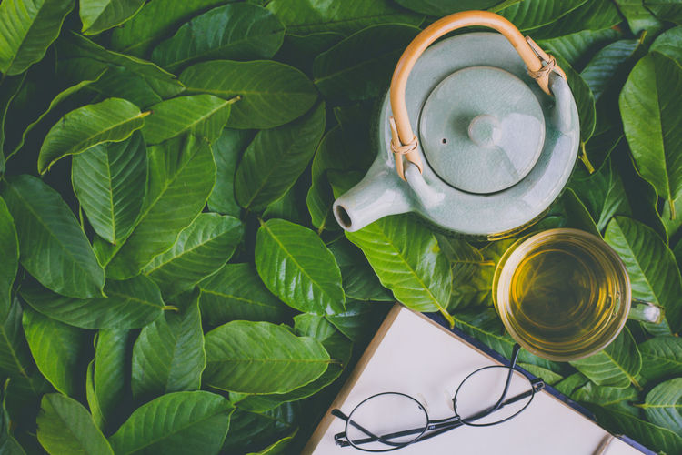 High angle view of herbal tea with teapot and eyeglasses on leaves