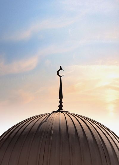  angle view of a bird stand on masjid against sky at sunset. 