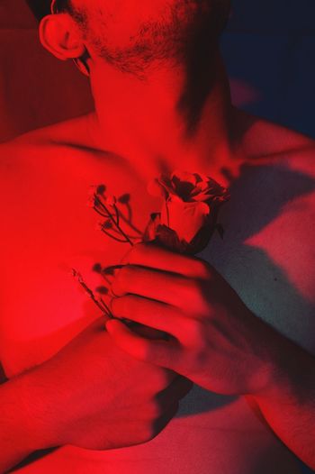 Midsection of man holding rose in red light