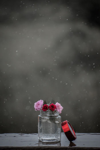 Close-up of red rose in snow