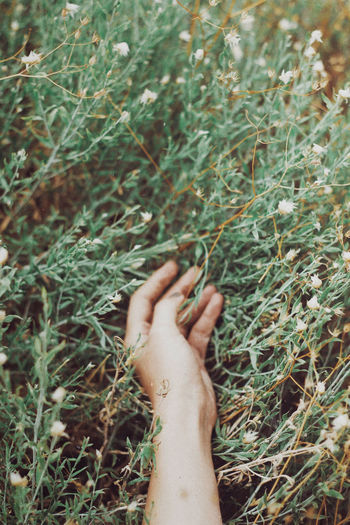 Midsection of person hand on field