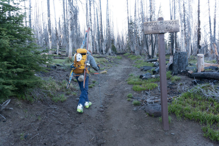 Rear view of hiker walking on trail at mount adams