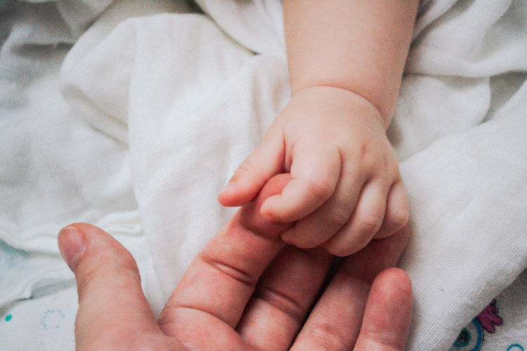 Cropped image of baby holding hand