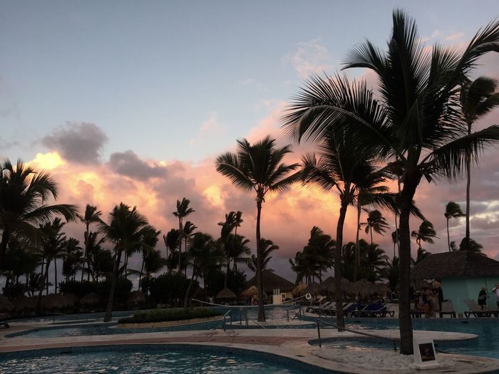 Palm trees by swimming pool against sky during sunset