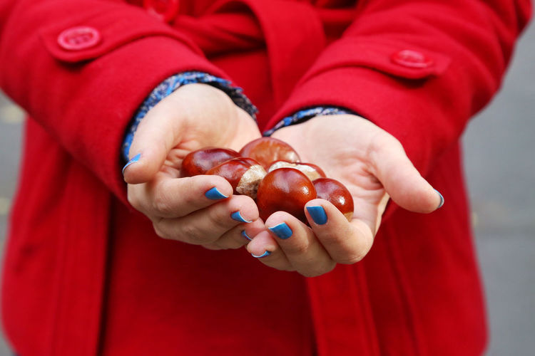Midsection of woman holding chestnuts outdoors