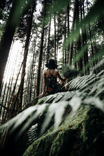 Adult Adventure Beauty In Nature Day EyeEm Nature Lover Forest Green Green Color Leisure Activity Lifestyles Nature One Person Outdoors People People And Places People Watching Real People Scenics Tree Tree Tree Trunk Trees Women WoodLand Young Adult Perspectives On Nature