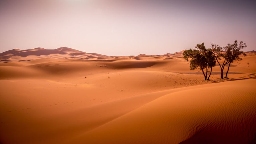 sand dune