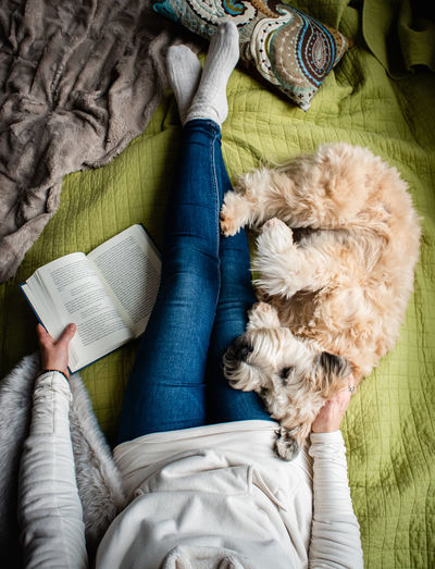 Overhead view of woman's torso on a bed with a book and her dog.