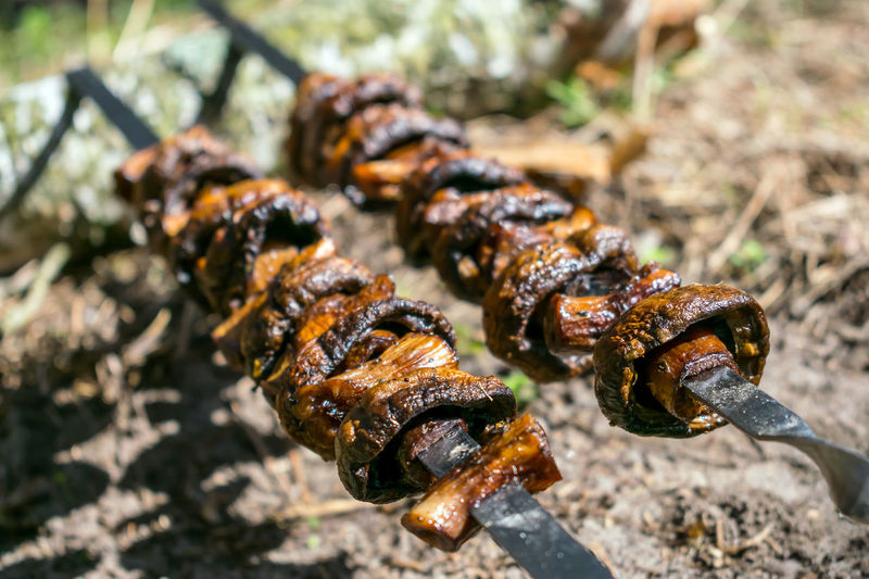 Outdoor picnic food. grilled mushroom skewers on nature background