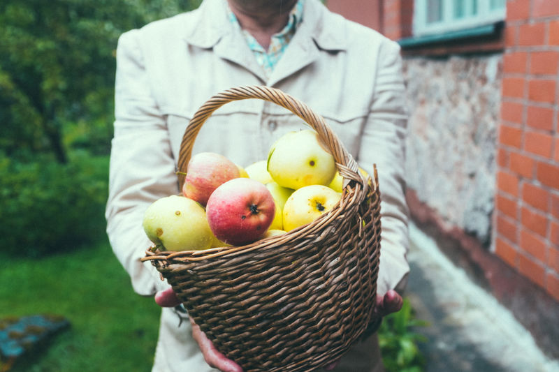 Midsection of man holding apple in basket