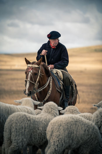 Гаучо Патагония