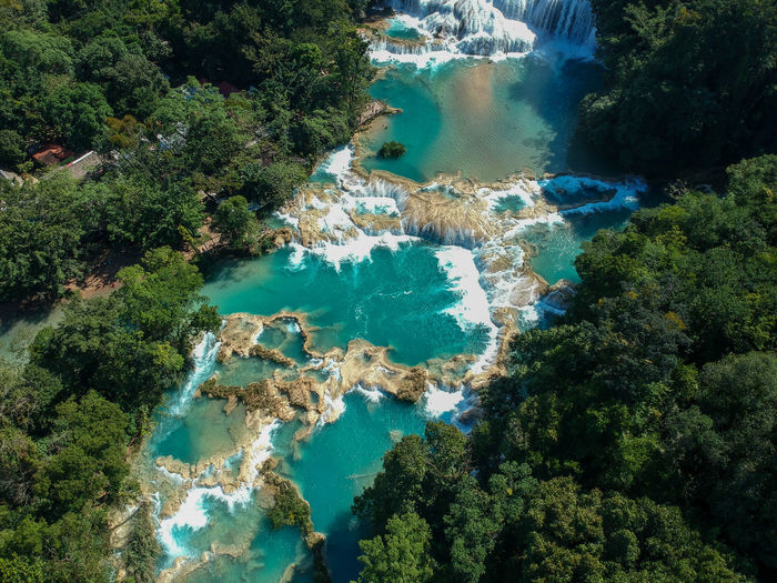 Cascadas de agua azul in the federal state chiapas in southern mexico