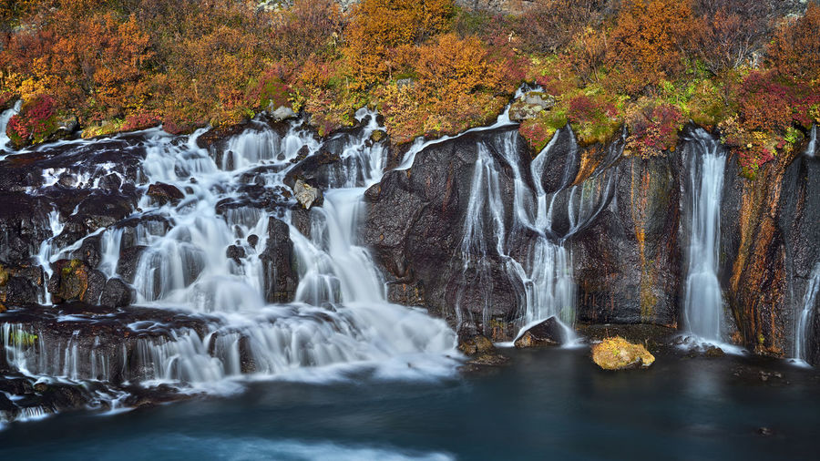 View of waterfall in forest during autumn