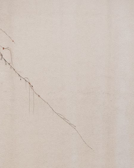 Close-up of wall