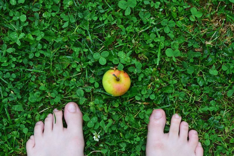 Low section of woman standing by apple on field