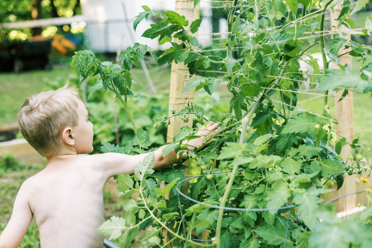Rear view of shirtless boy with plants