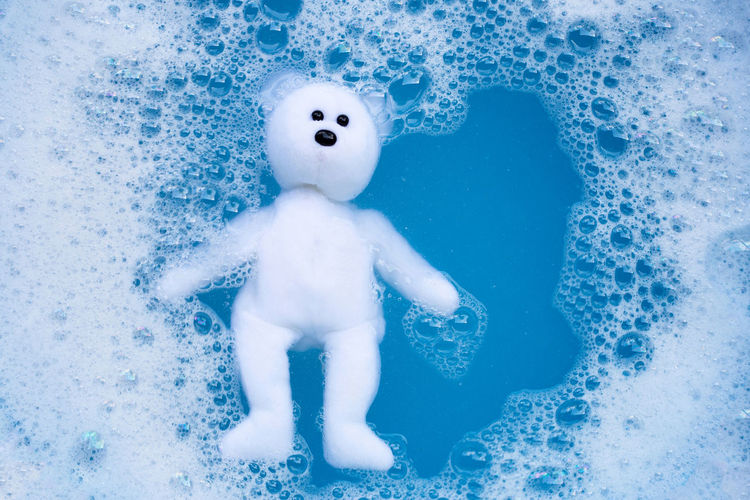 Teddy bear in soap sud