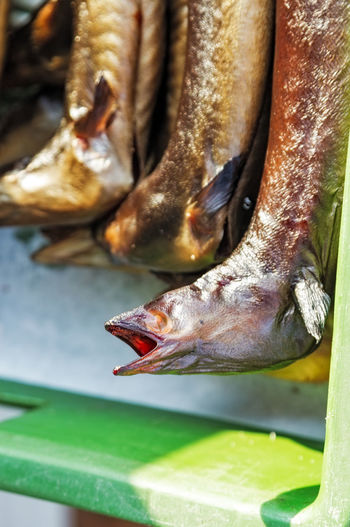 Close-up of eel fish for sale at market