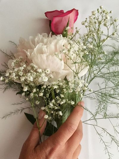 Cropped hand holding flower