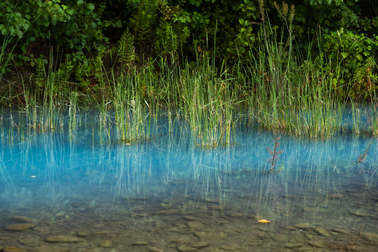 water