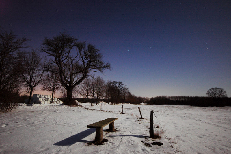 Trees on snow covered field against sky at night